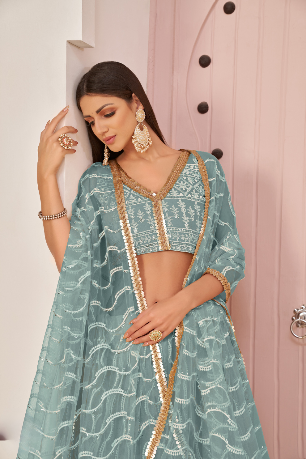 Beautifully Embroidered Net Lehenga with Sequin and Thread Detailing
