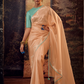 Organza Silk Saree with Embroidered Lace Border & Full Fancy Embroidery