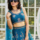 Designer Net Lehenga Choli & Dupatta with Handcrafted Coding