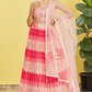 Vibrant Digital Printed Organza Lehenga Choli with Contemporary Flair