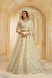 StoneEmbellishedDarkBeigePanelledStyleNetLehenga_38 - LaVante Fashion