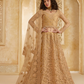 StoneEmbellishedDarkBeigePanelledStyleNetLehenga_45 - LaVante Fashion