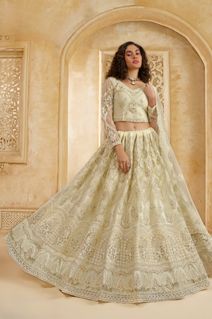 StoneEmbellishedDarkBeigePanelledStyleNetLehenga_8 - LaVante Fashion