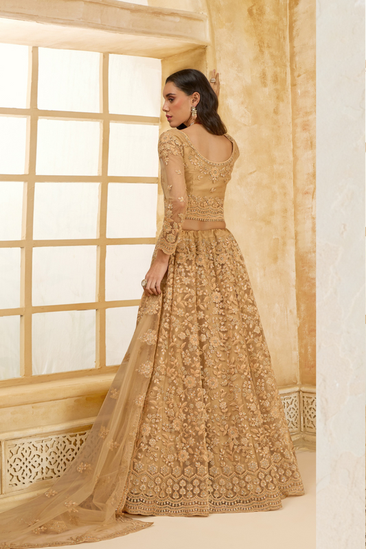 Stone_Embellished_Dark_Beige_Panelled_Style_Net_Lehenga_19 - LaVante Fashion