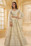 Stone_Embellished_Dark_Beige_Panelled_Style_Net_Lehenga_23 - LaVante Fashion