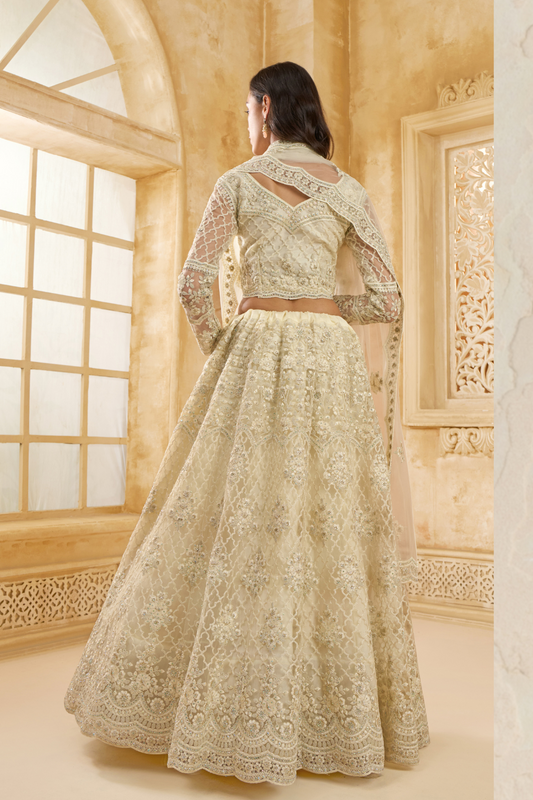 Stone_Embellished_Dark_Beige_Panelled_Style_Net_Lehenga_24 - LaVante Fashion