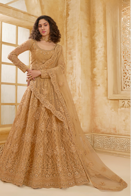 Stone_Embellished_Dark_Beige_Panelled_Style_Net_Lehenga_26 - LaVante Fashion