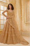 Stone_Embellished_Dark_Beige_Panelled_Style_Net_Lehenga_26 - LaVante Fashion