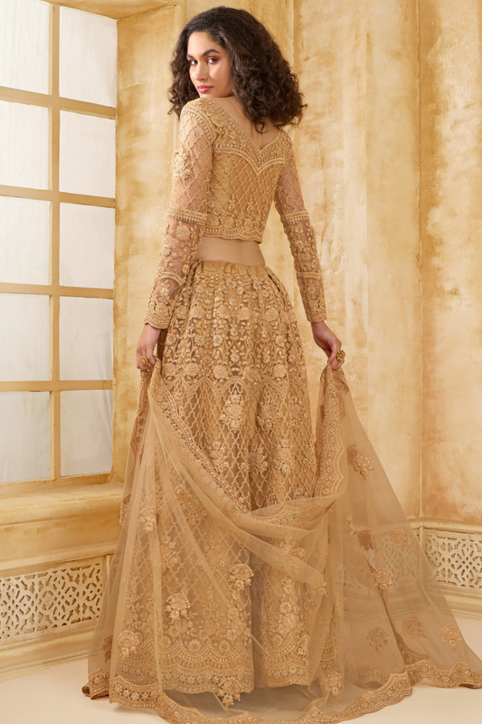 Stone_Embellished_Dark_Beige_Panelled_Style_Net_Lehenga_28 - LaVante Fashion