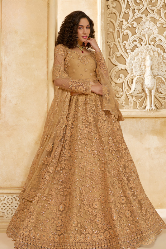 Stone_Embellished_Dark_Beige_Panelled_Style_Net_Lehenga_47 - LaVante Fashion
