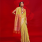 Tussar Silk Handloom Saree with Contrast Ikkat Pallu & Blouse