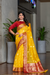 Tissue Silk Elegance Draped in a Striking Contrast Border