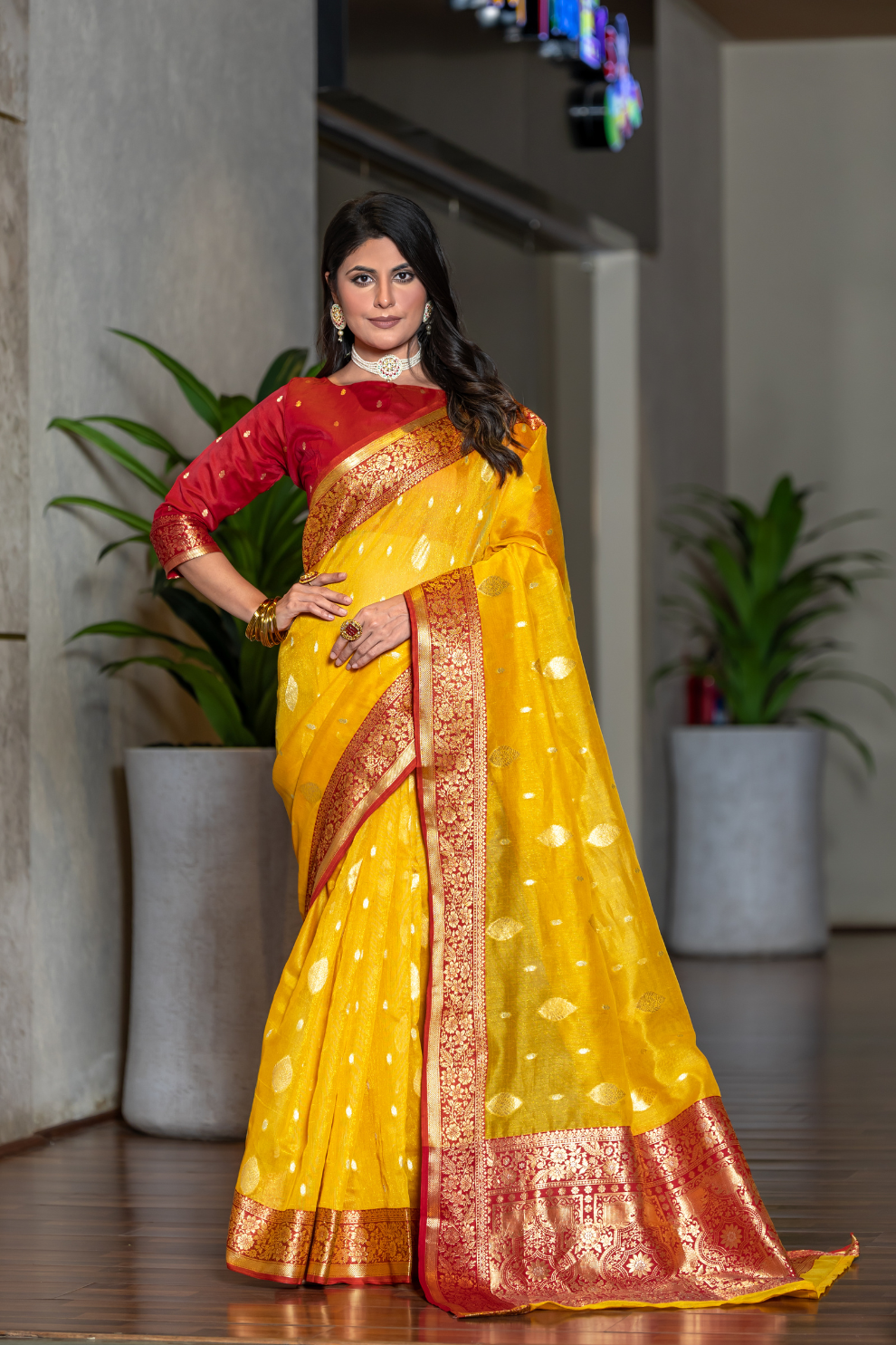 Tissue Silk Elegance Draped in a Striking Contrast Border