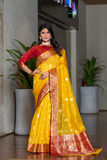 Tissue Silk Elegance Draped in a Striking Contrast Border