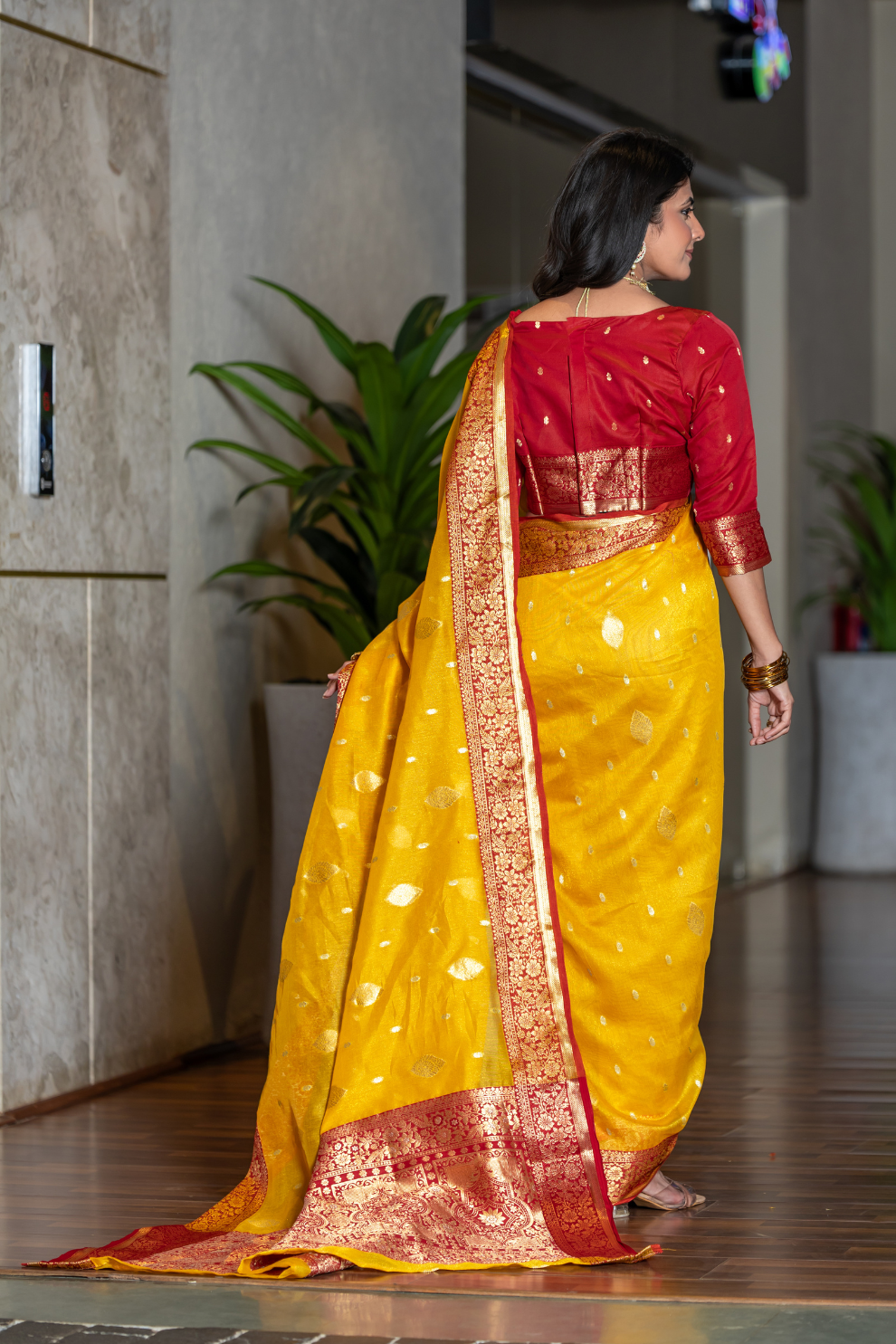 Tissue Silk Elegance Draped in a Striking Contrast Border