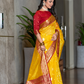 Tissue Silk Elegance Draped in a Striking Contrast Border