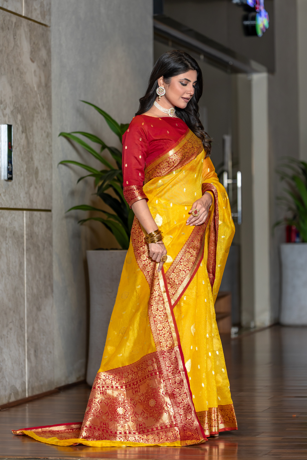 Tissue Silk Elegance Draped in a Striking Contrast Border