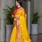 Tissue Silk Elegance Draped in a Striking Contrast Border