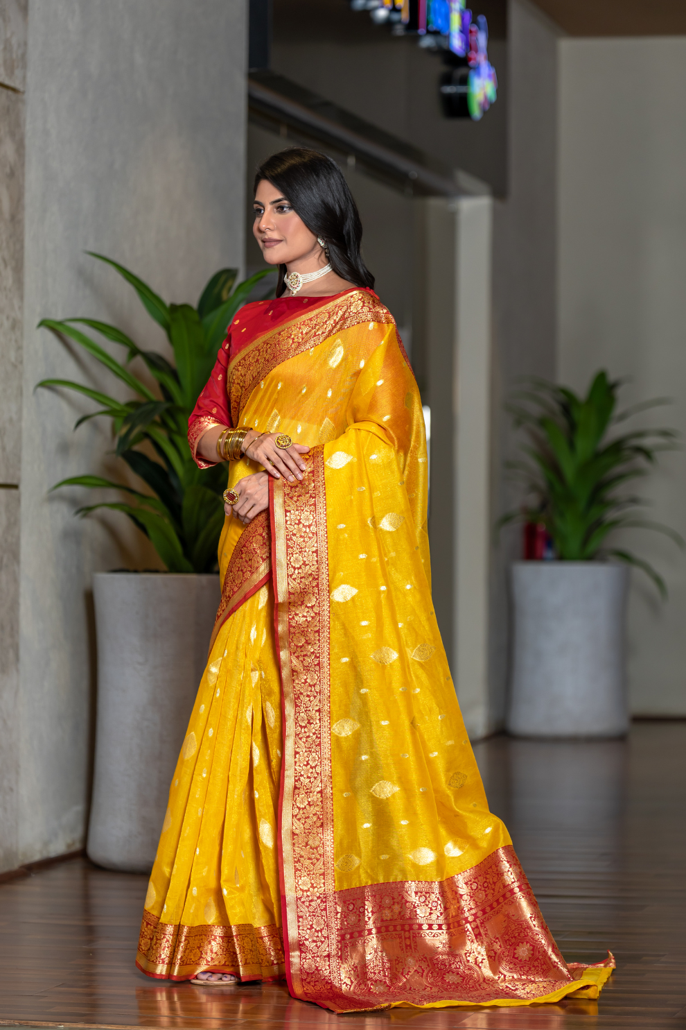 Tissue Silk Elegance Draped in a Striking Contrast Border