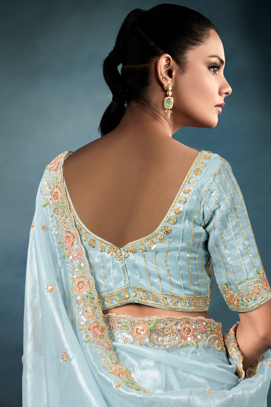 Tissue Saree with Handwork Detailing and Designer Cut Work Border
