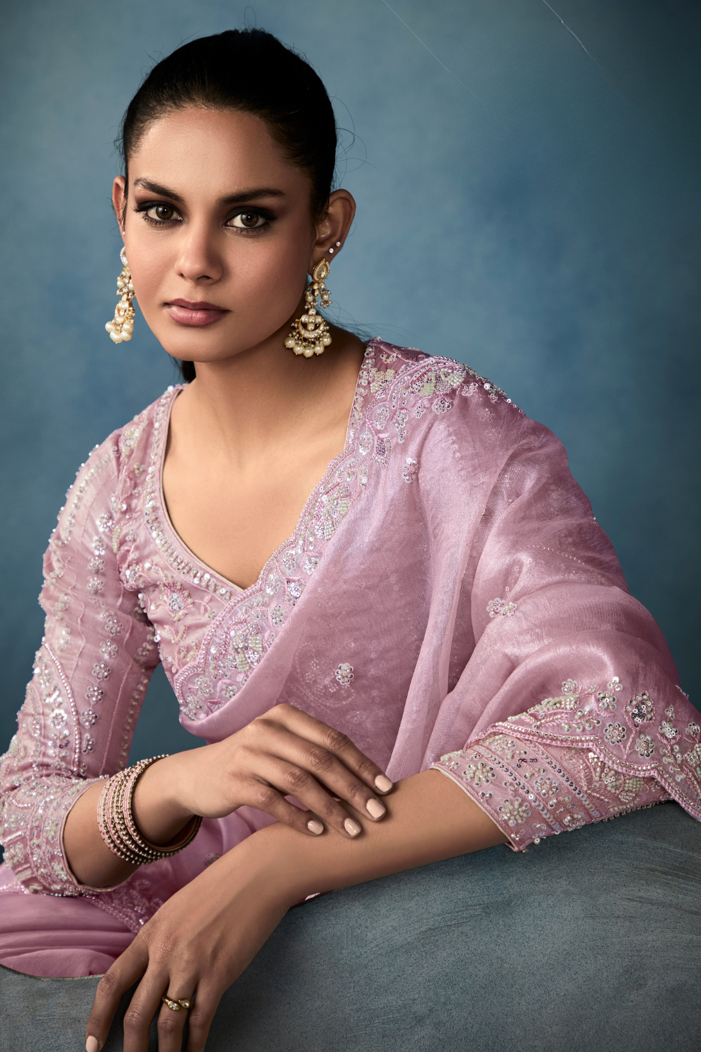 Tissue Saree with Handwork Detailing and Designer Cut Work Border