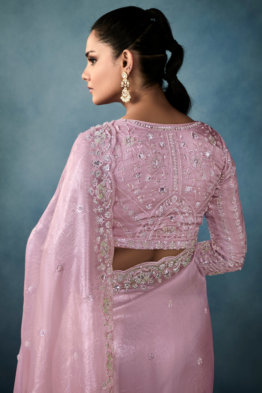 Tissue Saree with Handwork Detailing and Designer Cut Work Border