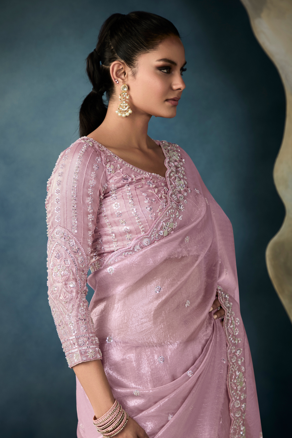 Tissue Saree with Handwork Detailing and Designer Cut Work Border