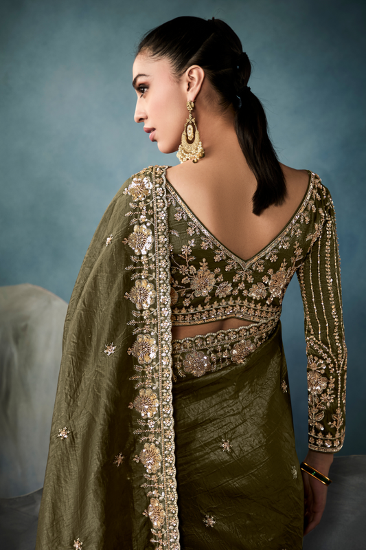Tissue Saree with Handwork Detailing and Designer Cut Work Border