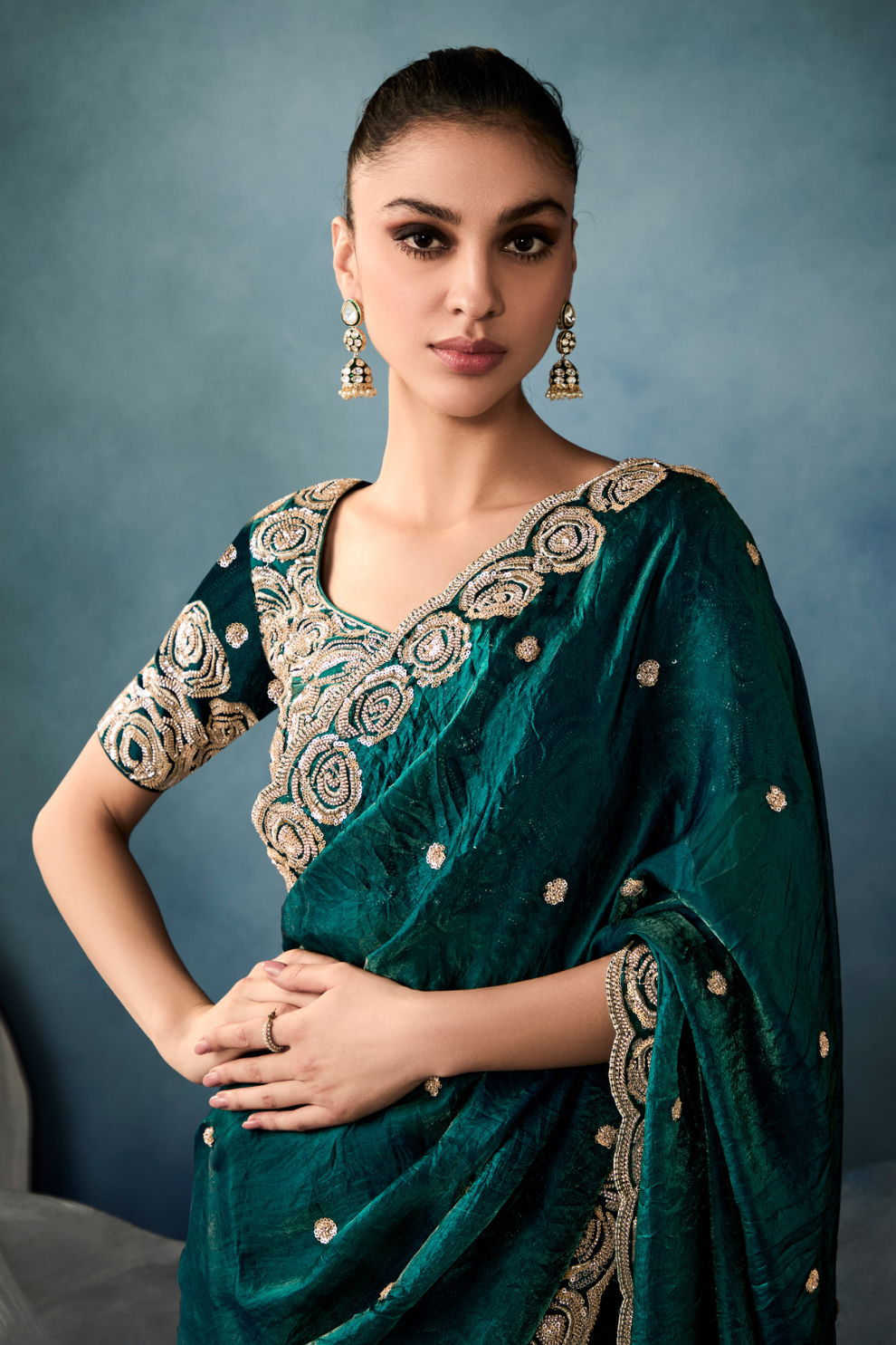 Tissue Saree with Handwork Detailing and Designer Cut Work Border