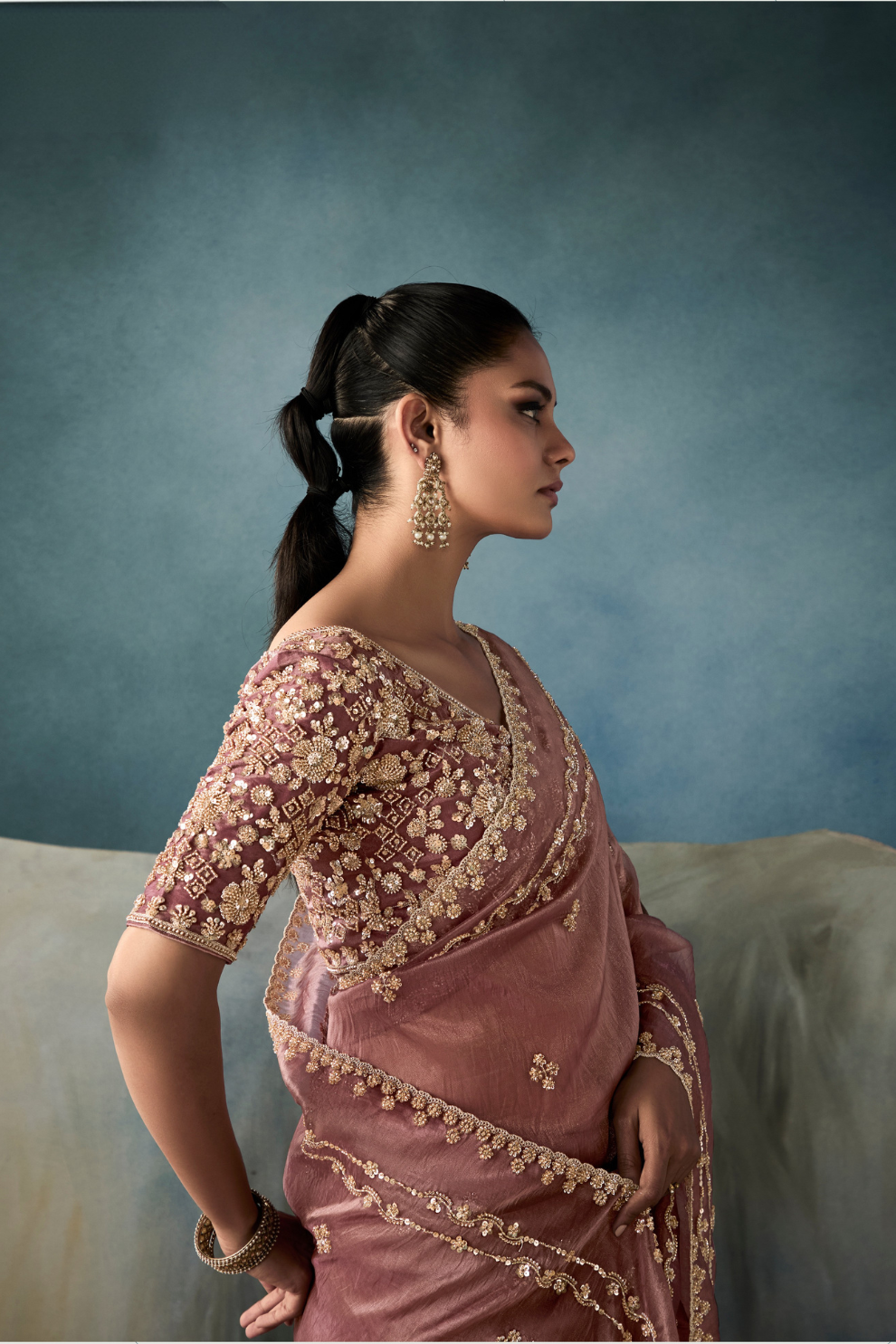 Tissue Saree with Handwork Detailing and Designer Cut Work Border
