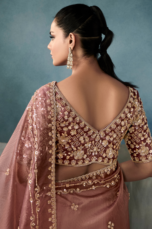 Tissue Saree with Handwork Detailing and Designer Cut Work Border