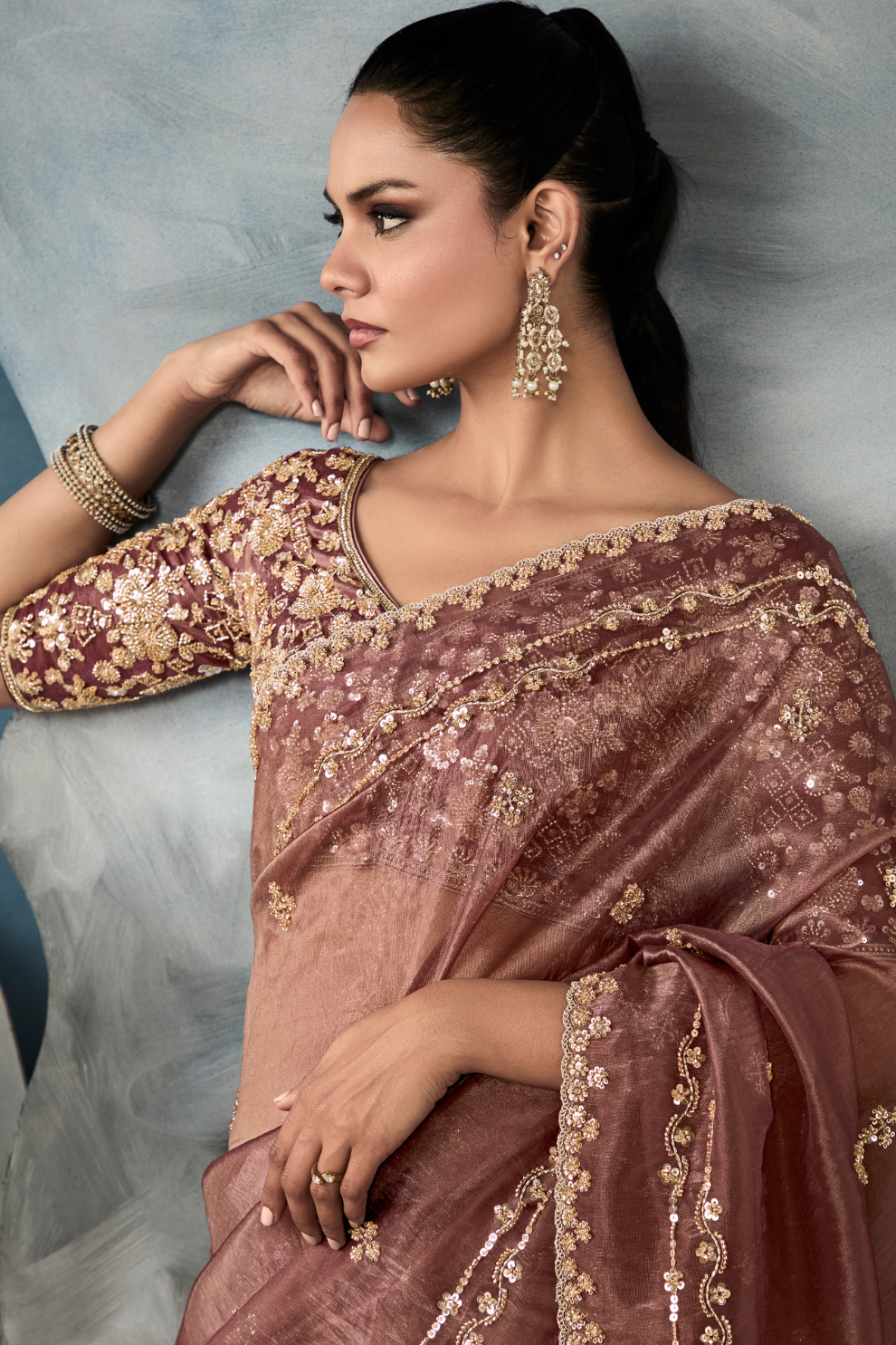 Tissue Saree with Handwork Detailing and Designer Cut Work Border