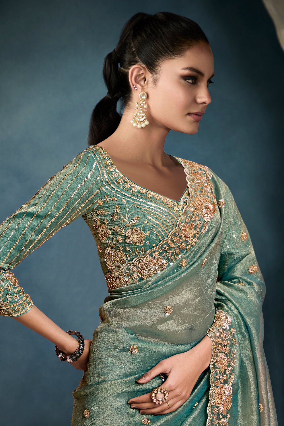 Tissue Saree with Handwork Detailing and Designer Cut Work Border