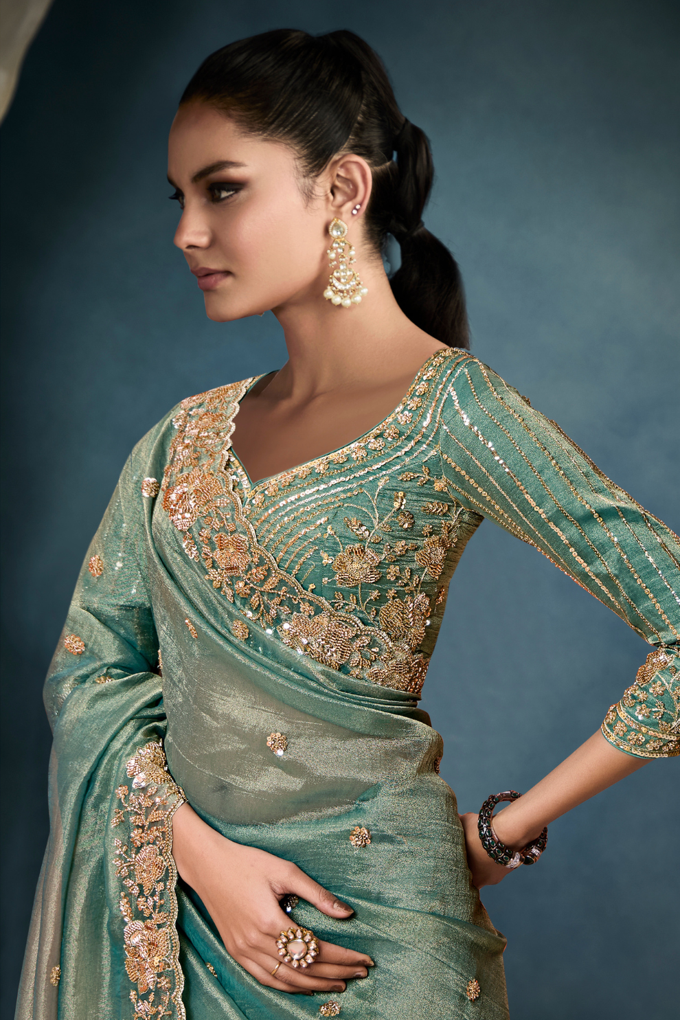 Tissue Saree with Handwork Detailing and Designer Cut Work Border