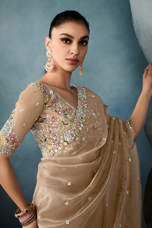 Tissue Saree with Handwork Detailing and Designer Cut Work Border