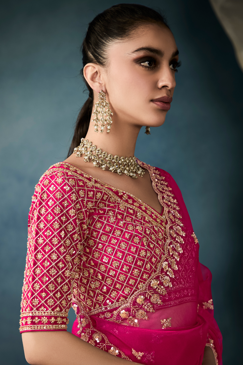 Tissue Saree with Handwork Detailing and Designer Cut Work Border