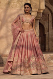 Ethereal Blush Pink Embroidered Lehenga with Heavy Thread Cutwork Border