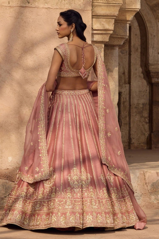 Ethereal Blush Pink Embroidered Lehenga with Heavy Thread Cutwork Border