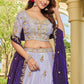Lavender Tissue Lehenga Choli with Contrast Dupatta Elegant Festive Wear